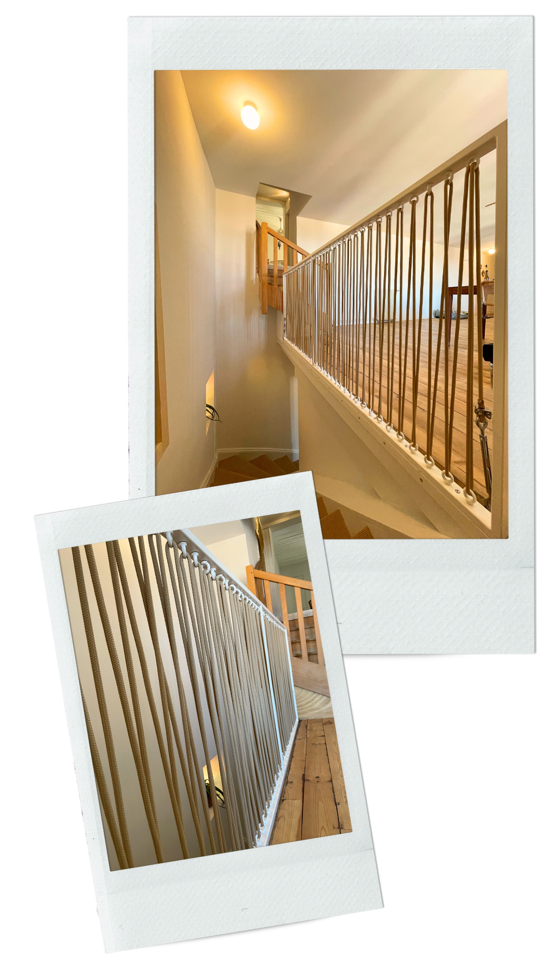 atelier-eleven-projet-lenore-1