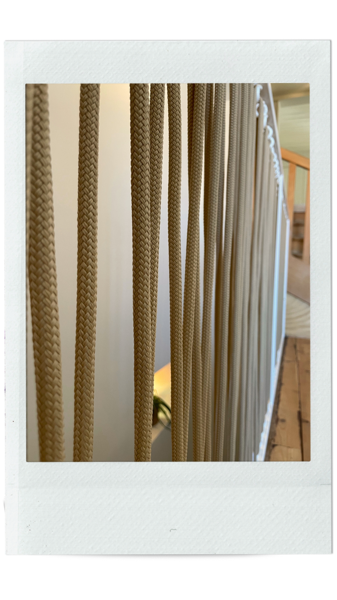 atelier-eleven-projet-lenore-4