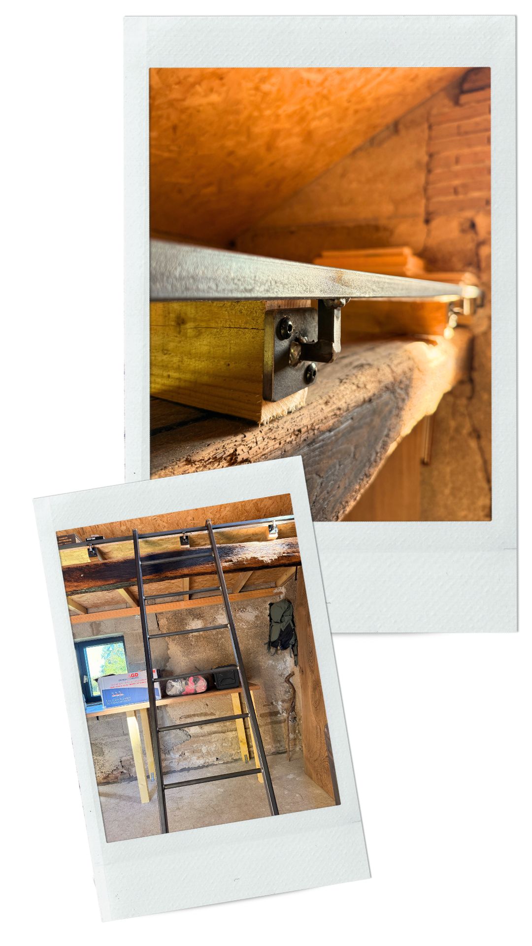 atelier-eleven-projet-mimosa-1