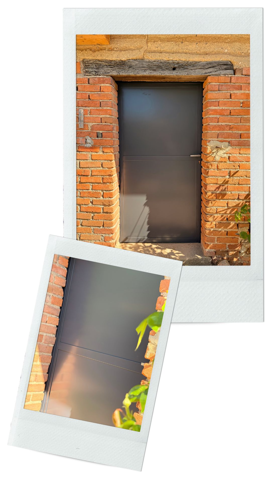 atelier-eleven-projet-mimosa-2