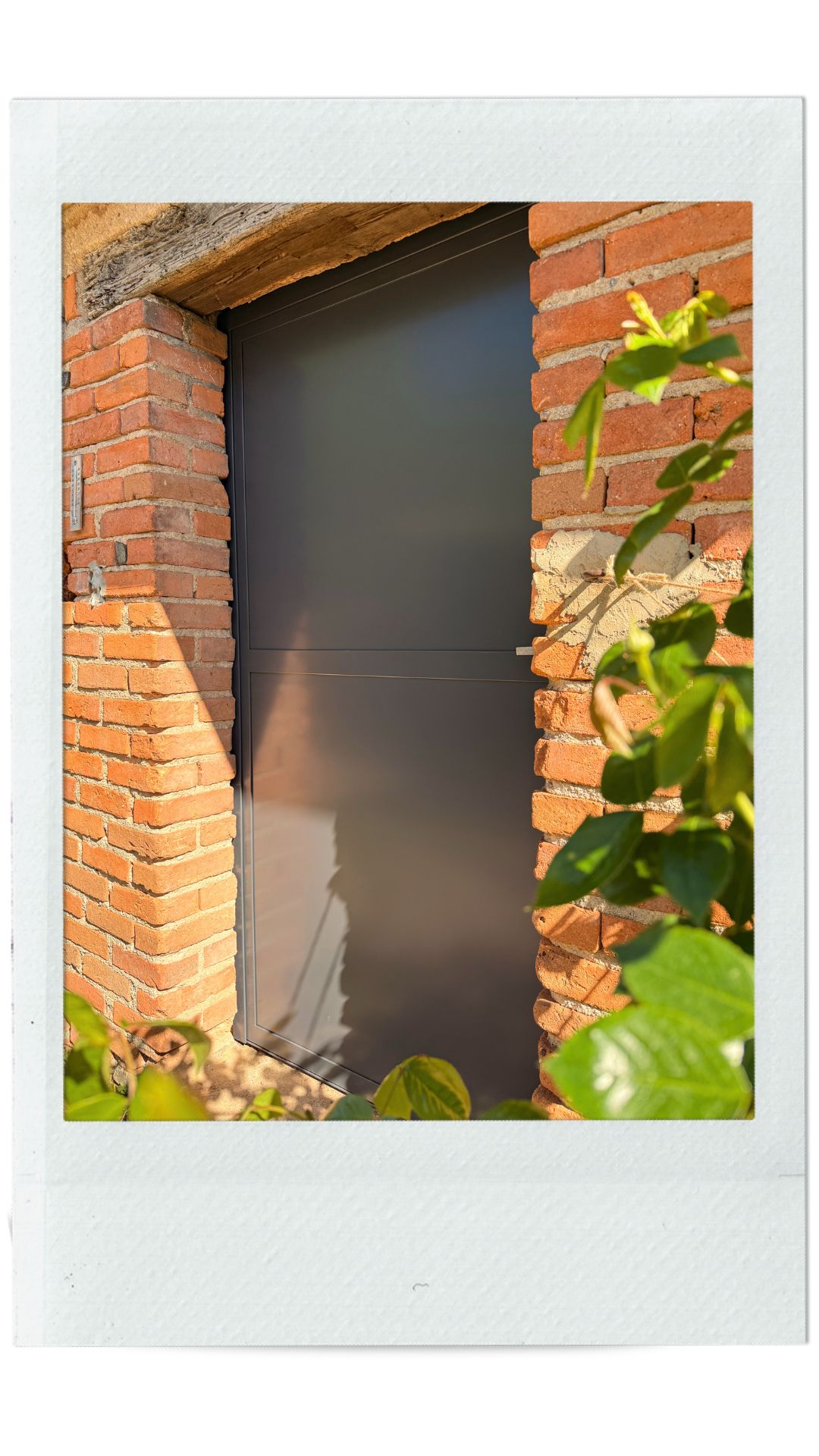 atelier-eleven-projet-mimosa-5