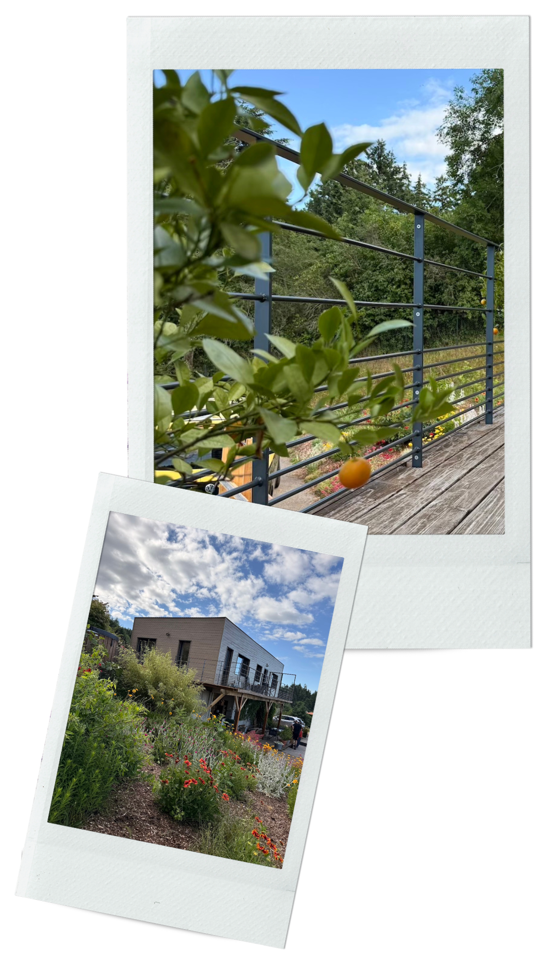 atelier-eleven-projet-blum-2