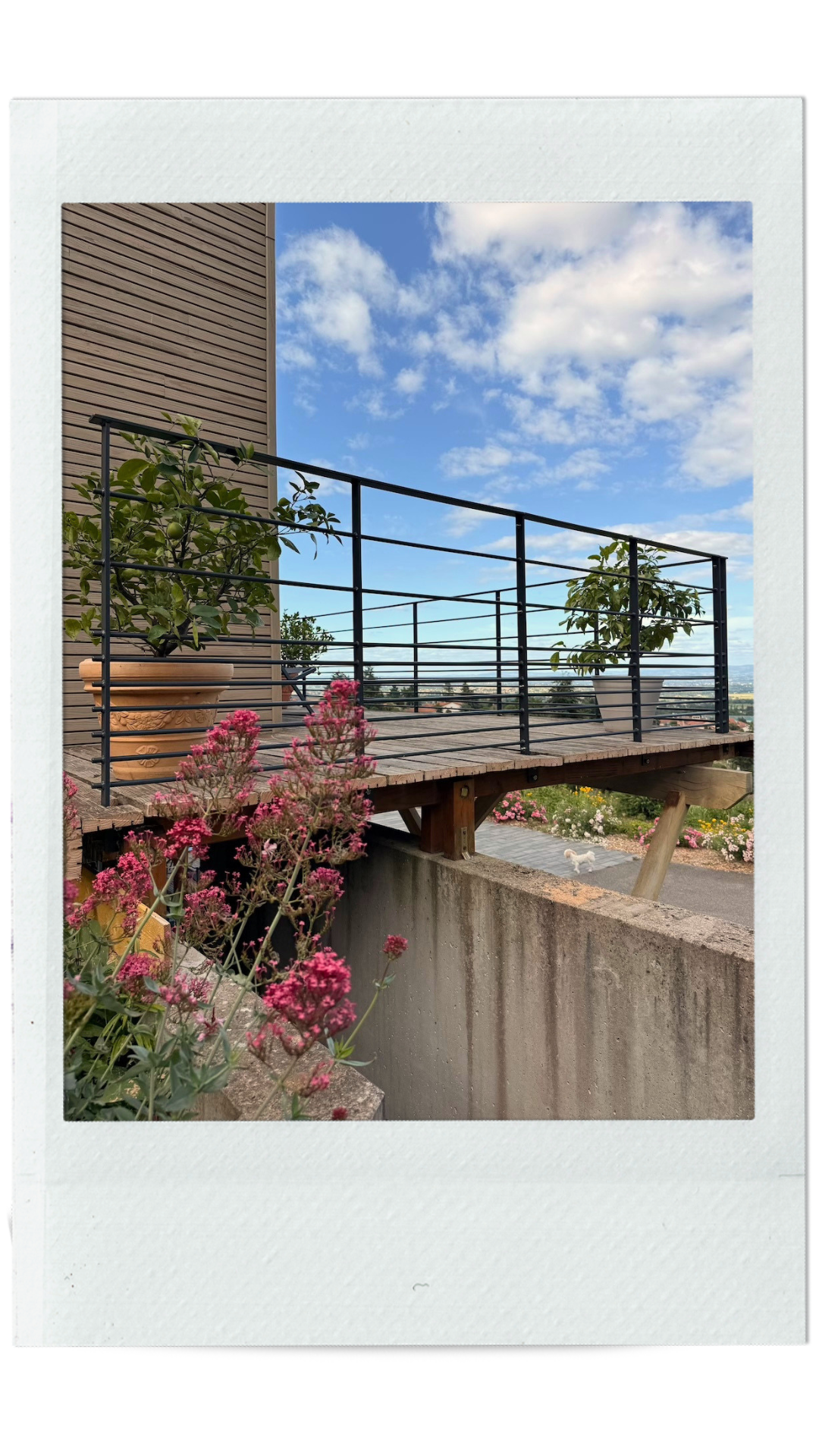 atelier-eleven-projet-blum-4