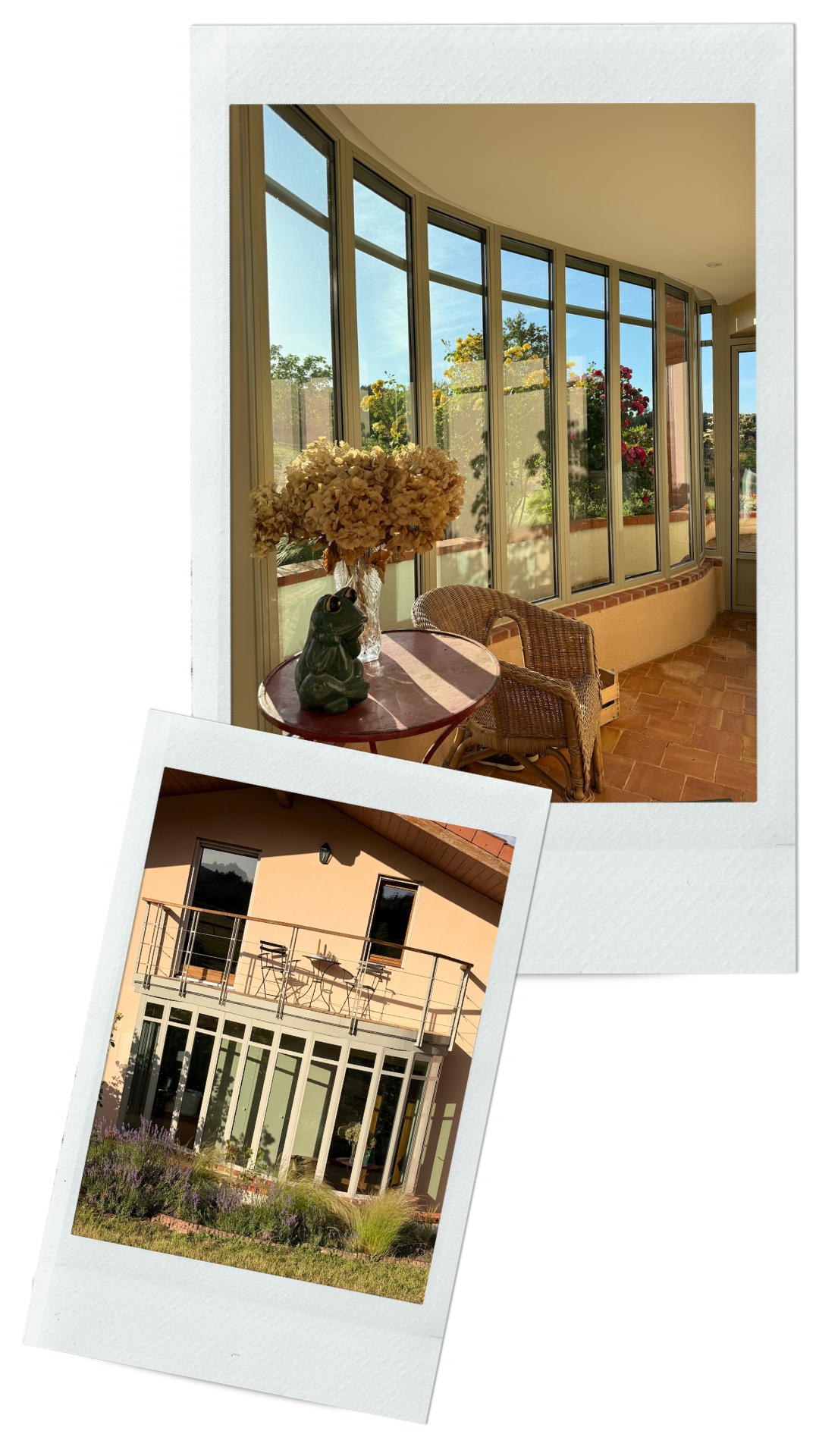 atelier-eleven-projet-orangerie-2