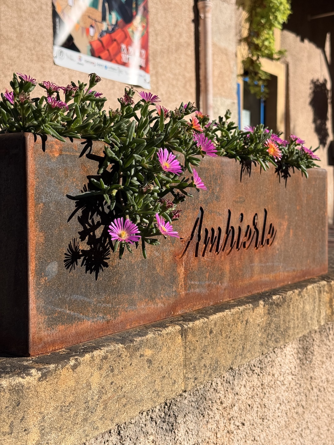 Zoom sur jardinière en acier Corten personnalisée avec le nom du village d'Ambierle et du pourpier rose