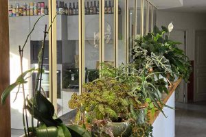 atelier-eleven-verriere-acier-cuisine-projet-canopee-1-4_5